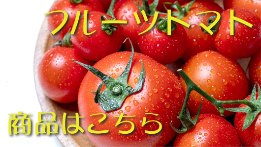 フルーツトマト