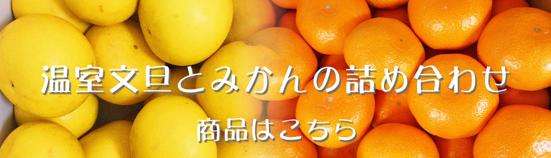 文旦とみかんの詰め合わせ